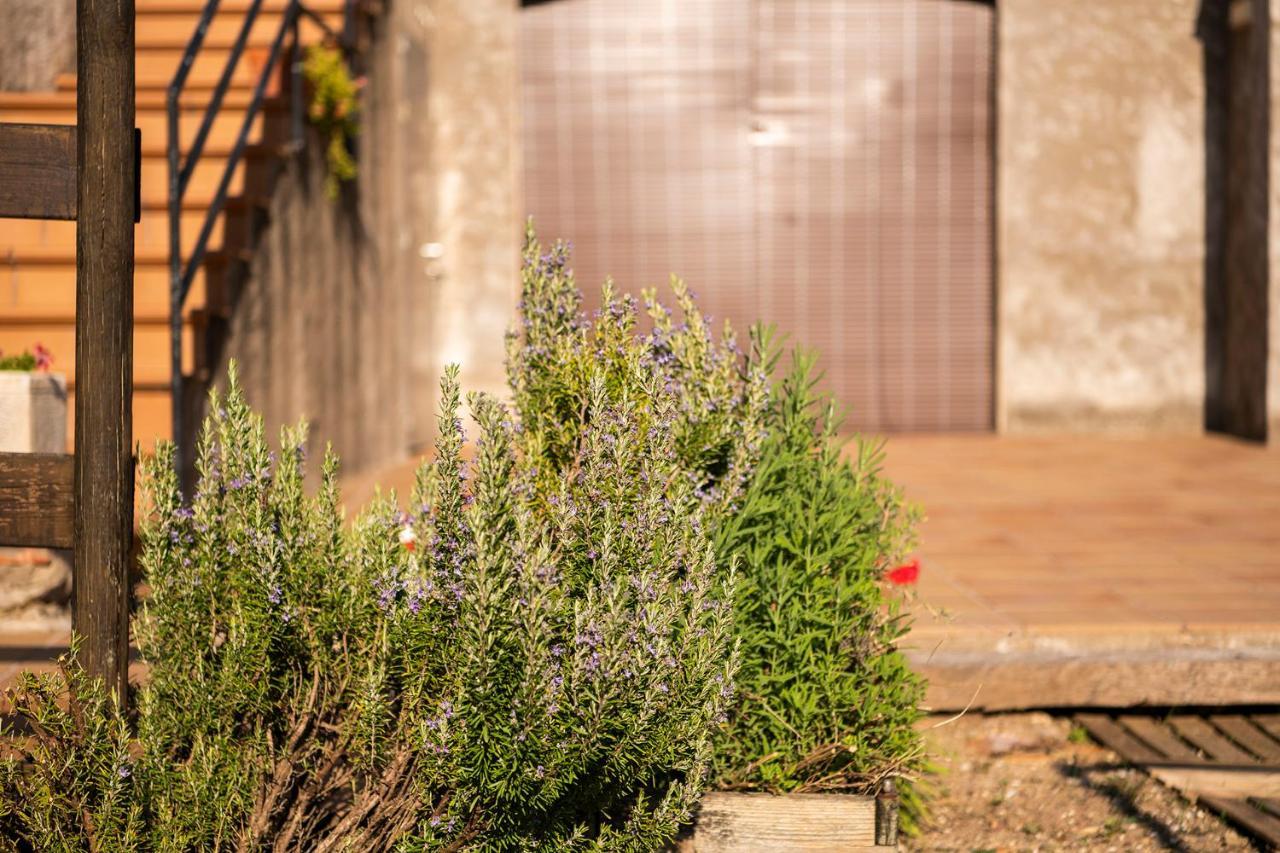 Casa Rural, Can Cirera Seriñá Exteriér fotografie